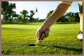 Secrets To Golfing Prowess Revealed